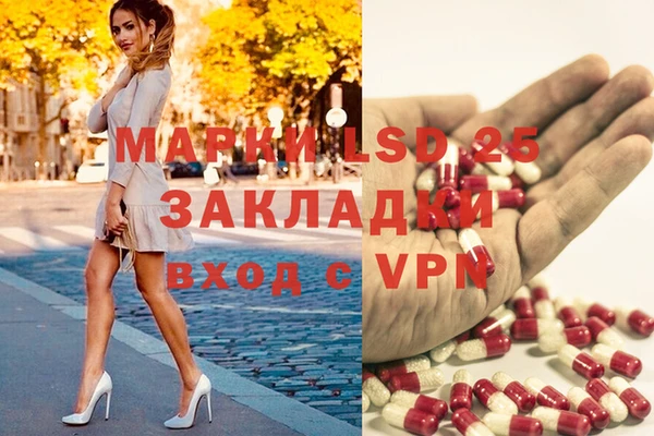mdpv Алзамай