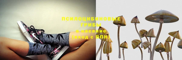 спайс Горно-Алтайск