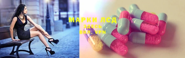 мдпв Дмитриев