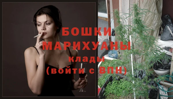 стаф Горнозаводск