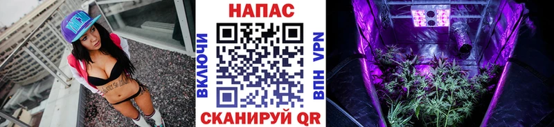 МАРИХУАНА Amnesia  Кизел 